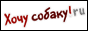 Хочу собаку Хочу собаку