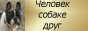 Сайт для любителей собак Romvervik